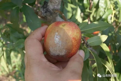 注意事项，别忘记啦