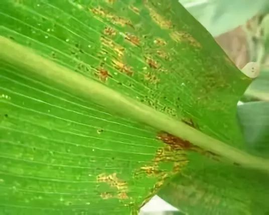 定期检查，及时处理