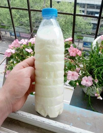 酸奶浇花有技巧，这样做才能让花长得更旺