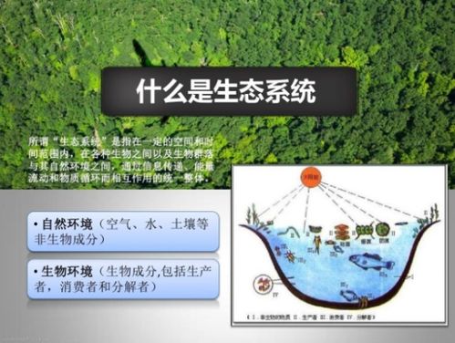 湘教版水循环：揭秘农业生态系统的奥秘