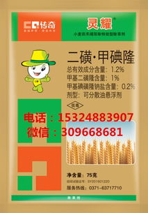 自制小麦除草剂小妙招， 农村老农民的智慧分享