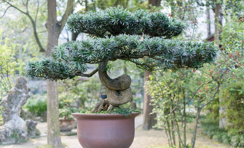 造型前的准备工作