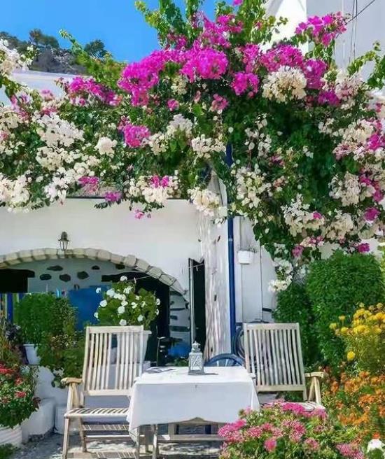 青岛海景民宿主赵哥的解决方案：