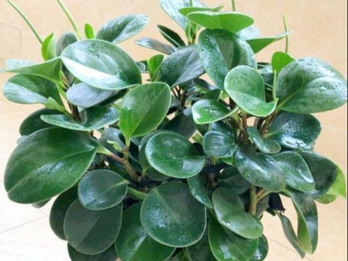 血泪经验，收藏！