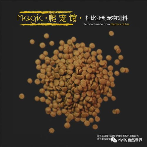 如何根据昆虫饲料配方，科学配制出适合食虫鸟的营养均衡饲料？
