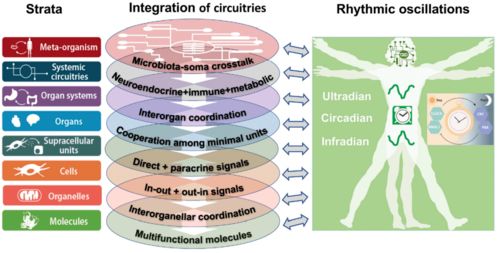第二维度：厂家实力