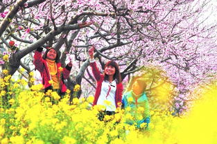 花木之县， 蓬勃发展