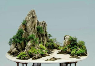 我国盆景：绿意盎然 未来可期