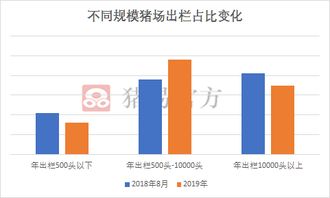 散户出清后中等规模猪场如何破局，实现7周大批次生产？