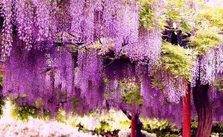 美丽瞬间，不容错过