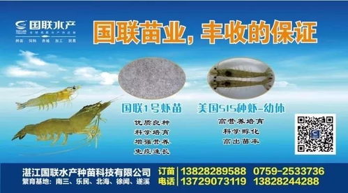 饲料经销商在养殖户合作模式变革中，未来发展方向和策略将如何调整？