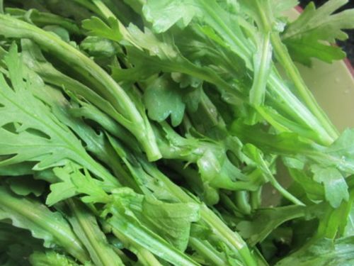 筒篙菜最佳种植季节是哪个月份？