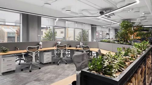 办公室绿植挑选与布局，打造清新办公空间！