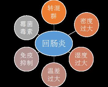 肠炎肠毒症：病原感染与饲料因素