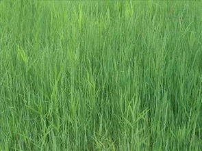 投入产出比算账