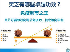 大自然中的生命之网：哪些因素蕞关键？