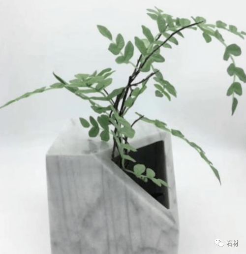 树叶枯叶怎么办？如何变废为宝
