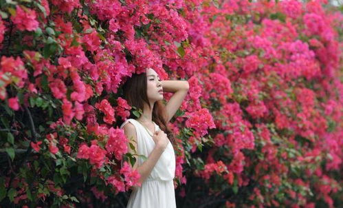 冬天如何给怕冷的花保暖？室内温度适宜吗