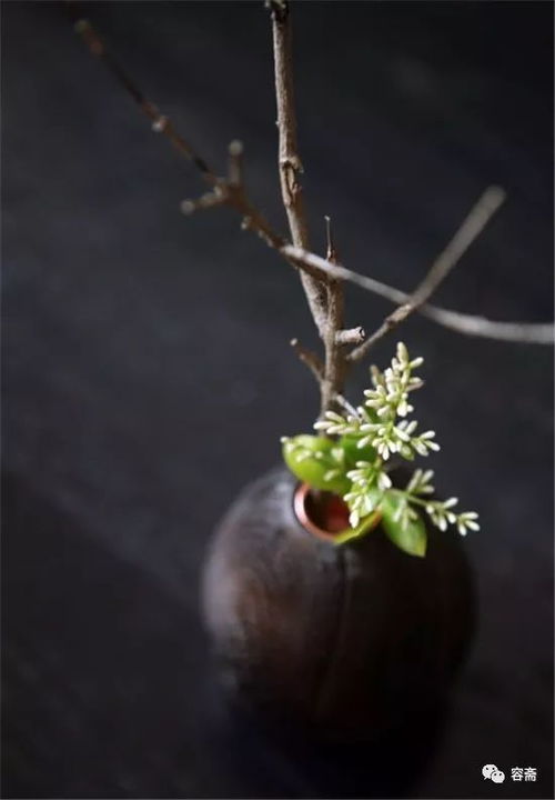 插花艺术：植物素材的艺术重组