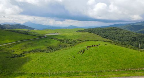 黑龙江草场那点事儿