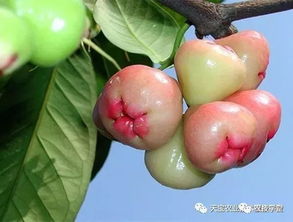 还有geng好的解决办法吗？