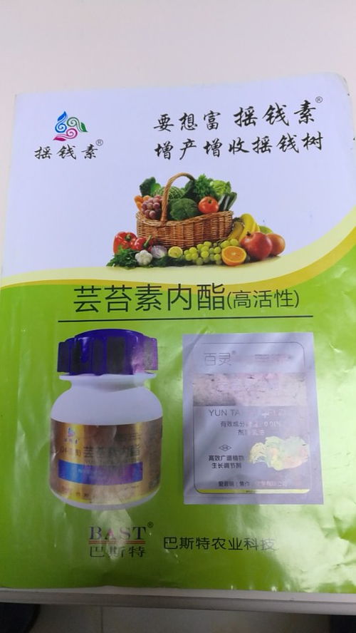 丙环唑的使用技巧：掌握这些， 保果不是梦