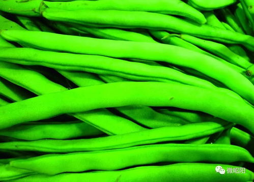 特殊情况，需特bie注意