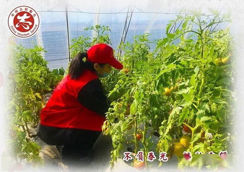 播种成功，呵护新苗