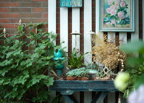 打造阳台花境， 四步走