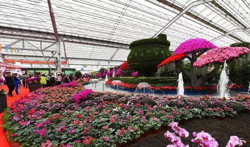 互动体验，乐趣无穷