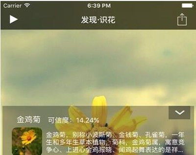 一把钥匙， 开启植物世界大门