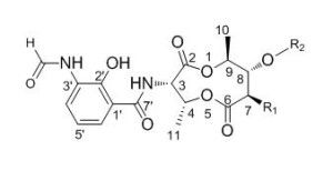 腈菌霉素：农药界的“新面孔”