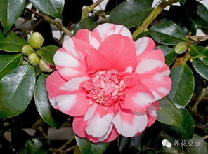 那些年，我们走过的弯路