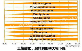 土壤酸化导致农业生产受损，究竟是什么原因引发了这一现象