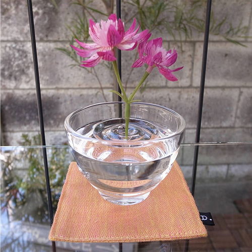 1314套杯， 创意设计