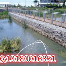 东明河岸的特殊环境要求