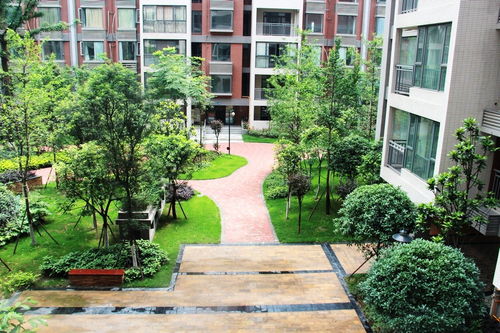 小区绿化， 那些让人心旷神怡的植物们