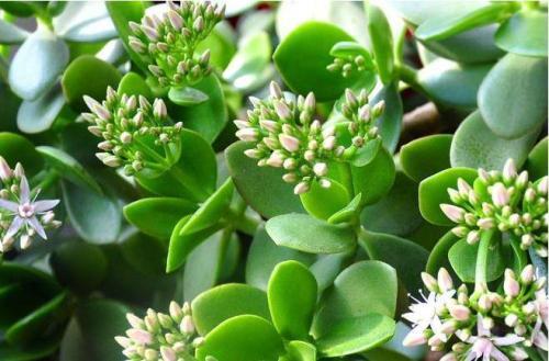 温度，成活率的关键！