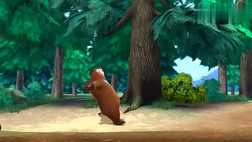 光头强的生活品质探秘