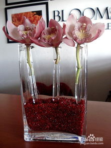 月季花盆的选择