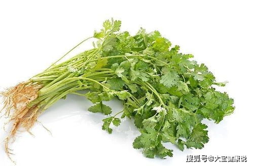 香菜煮水喝有什么好处？这几种人一定要试试