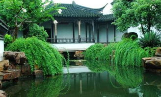 植物配置：现代与传统的不同选择