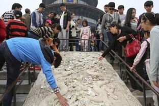 别跟风网红植物， 用“三件套”