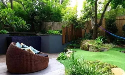 曼陀罗花，美丽的毒花，欣赏需谨慎