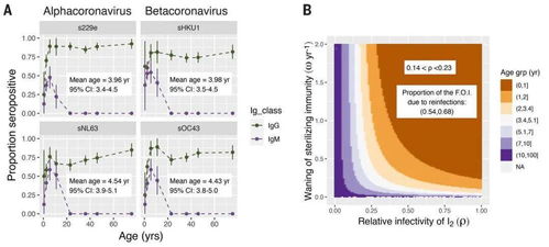 老李家的惨痛教训：分蘖期水稻纹枯病防治不当导致20亩田绝收