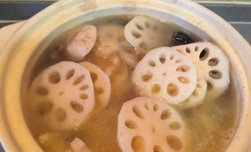 莲藕种植的最佳月份是什么时候？几月份种植莲藕最为适宜