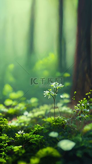 “探索以代表健康的植物为主题的奇妙世界