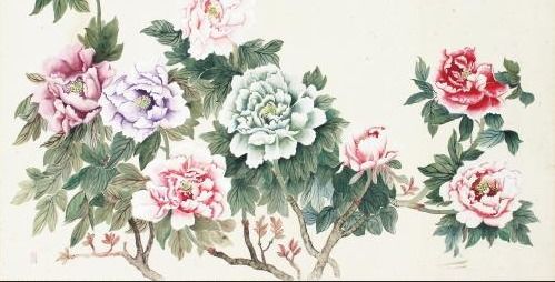 唐朝：牡丹盛开的盛世