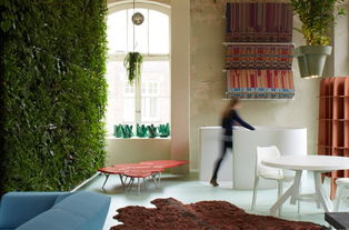 室内绿植装饰，打造清新办公空间！