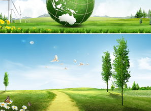 植草砖：城市缝隙中的绿意诗篇